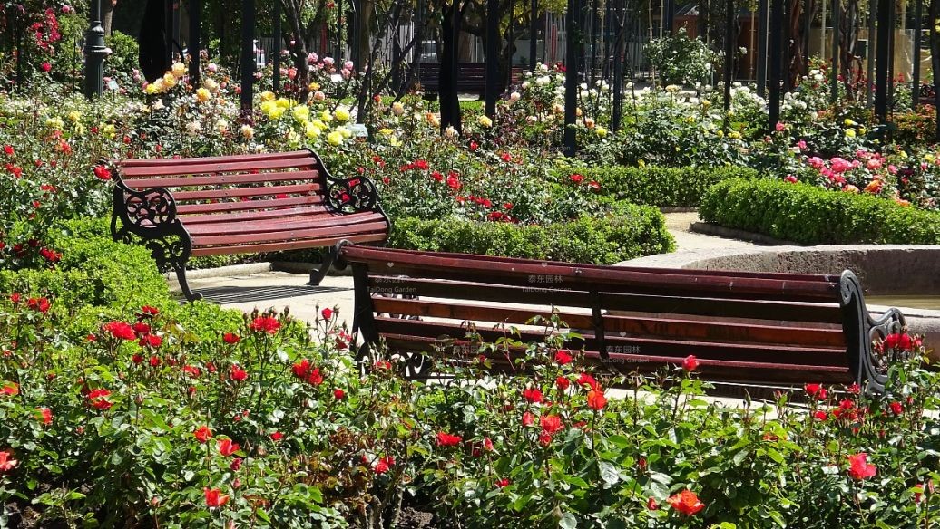 1587708980794934.jpg part-00330-473.jpg