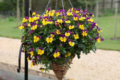 室外花箱 室外花箱