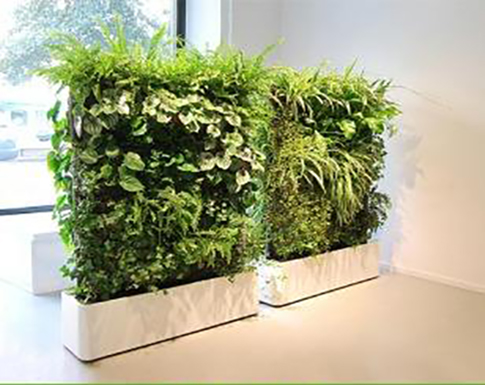 室內花箱 室內花箱