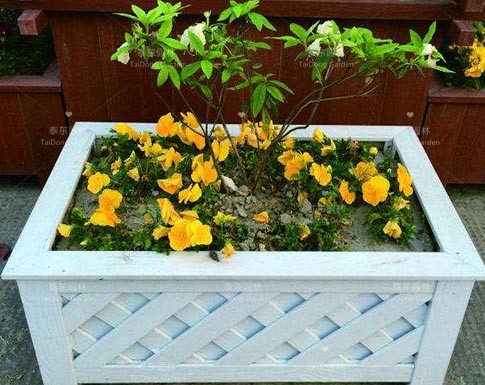 花箱 花箱