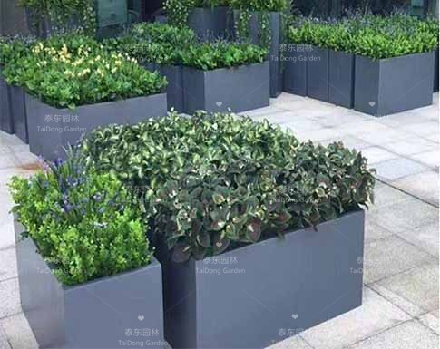 花箱 花箱