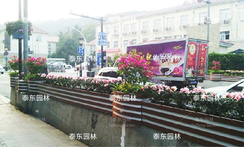 護欄花箱 護欄花箱