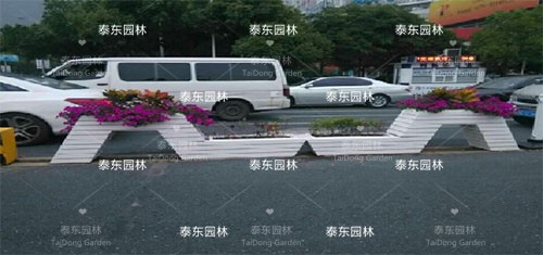 駝峰花箱 駝峰花箱