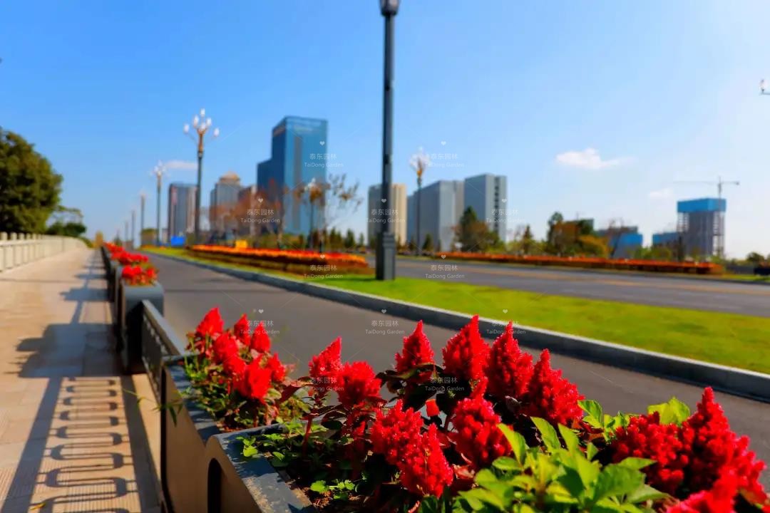 1616206795131373.jpg 微信圖片_20210320101041.jpg