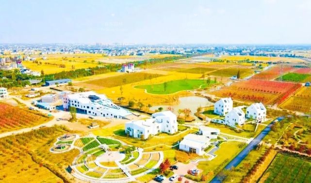 1616986262360365.jpg 花箱