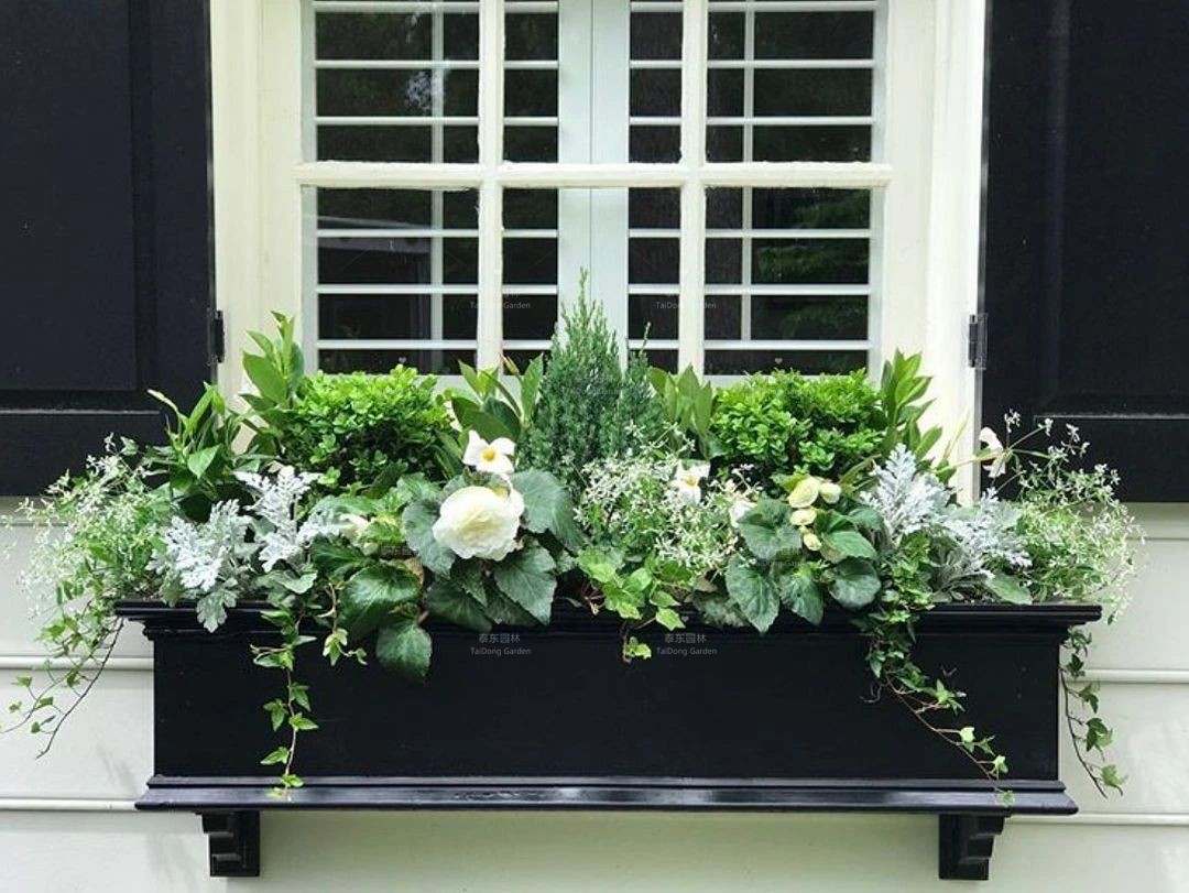 1675134392180475.jpg 窗臺花箱1.jpg