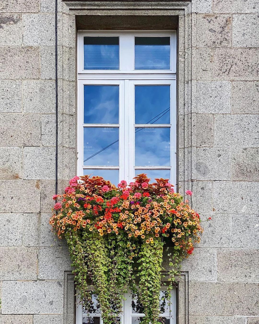 1675134515985473.jpg 花箱