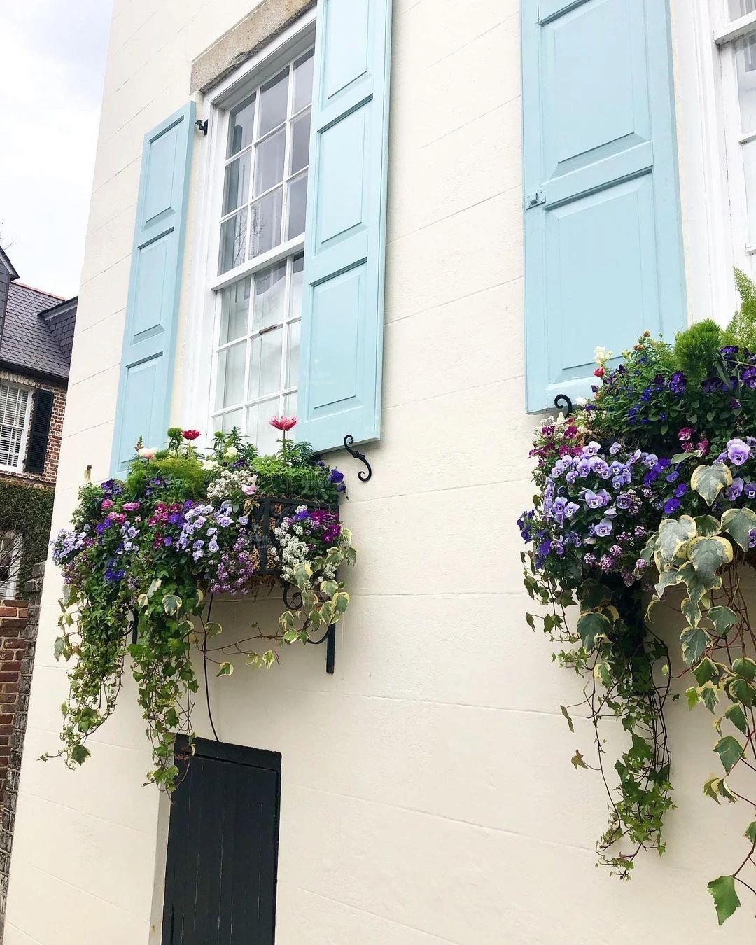 1675134516488961.jpg 花箱