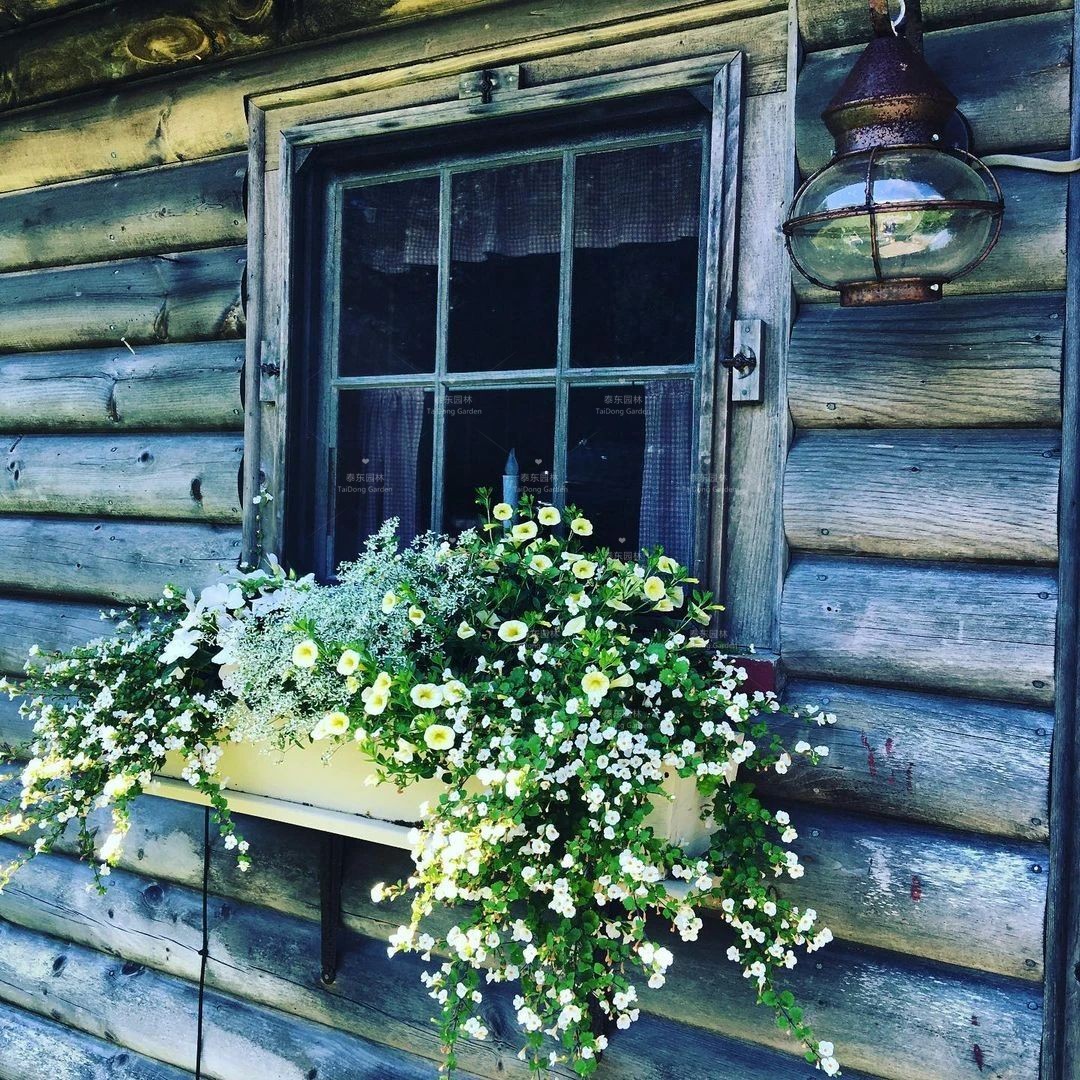 1675134516772426.jpg 花箱