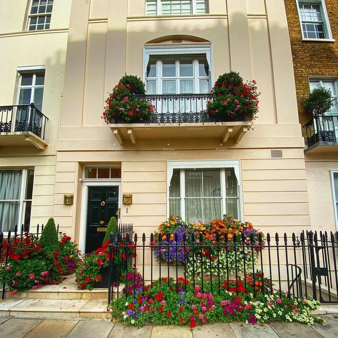 1675134516942945.jpg 花箱