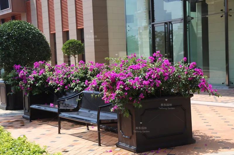 1675214985566845.jpg 3.jpg