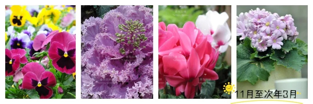 1675215089126607.jpg 4.jpg