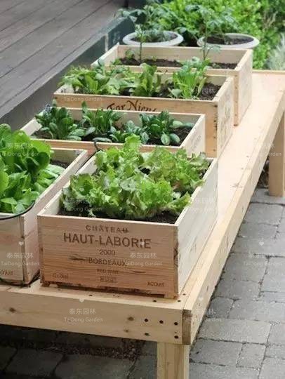 1675758663663895.jpg 花箱