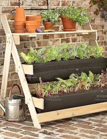 1675758736278500.jpg 花箱