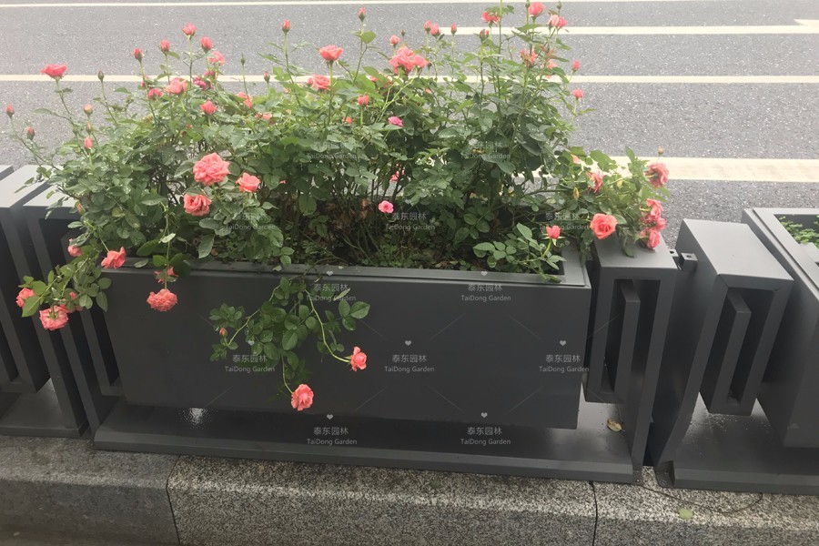 1676623863983986.jpg 4.jpg