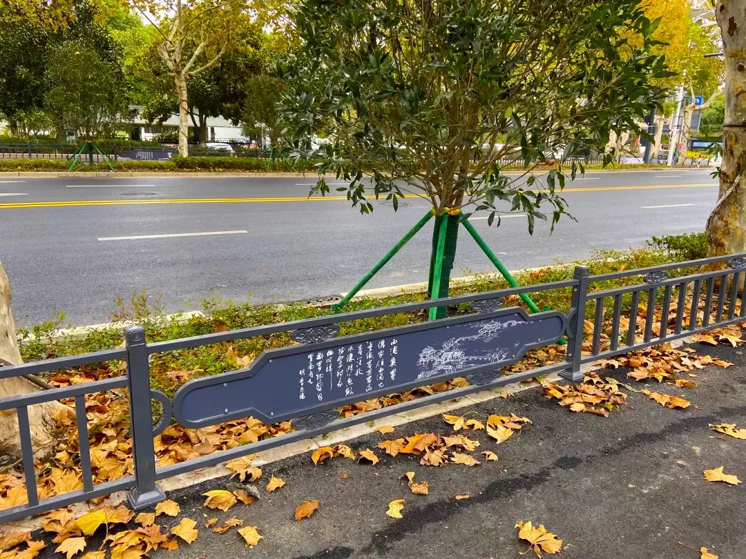 1689122449285984.jpeg 花箱