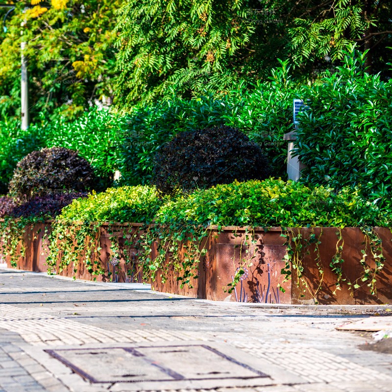 1689148232651517.jpg 4.jpg