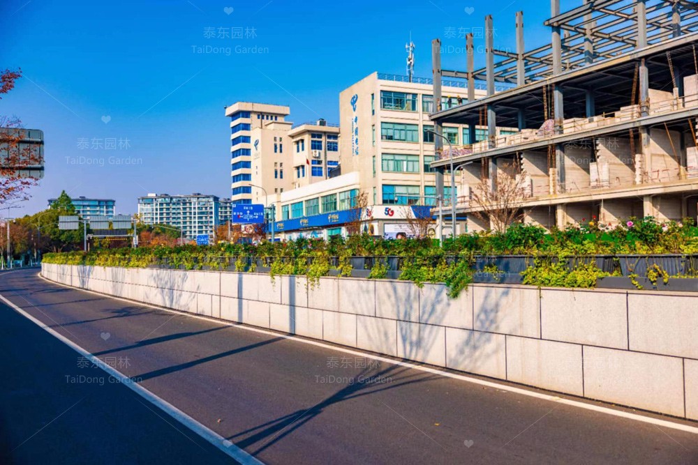 1701313186424812.jpg 花箱