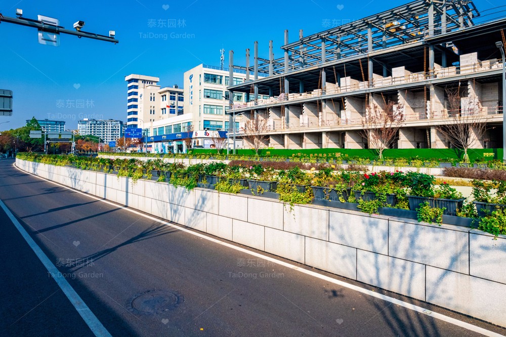 1701313186480834.jpg 花箱