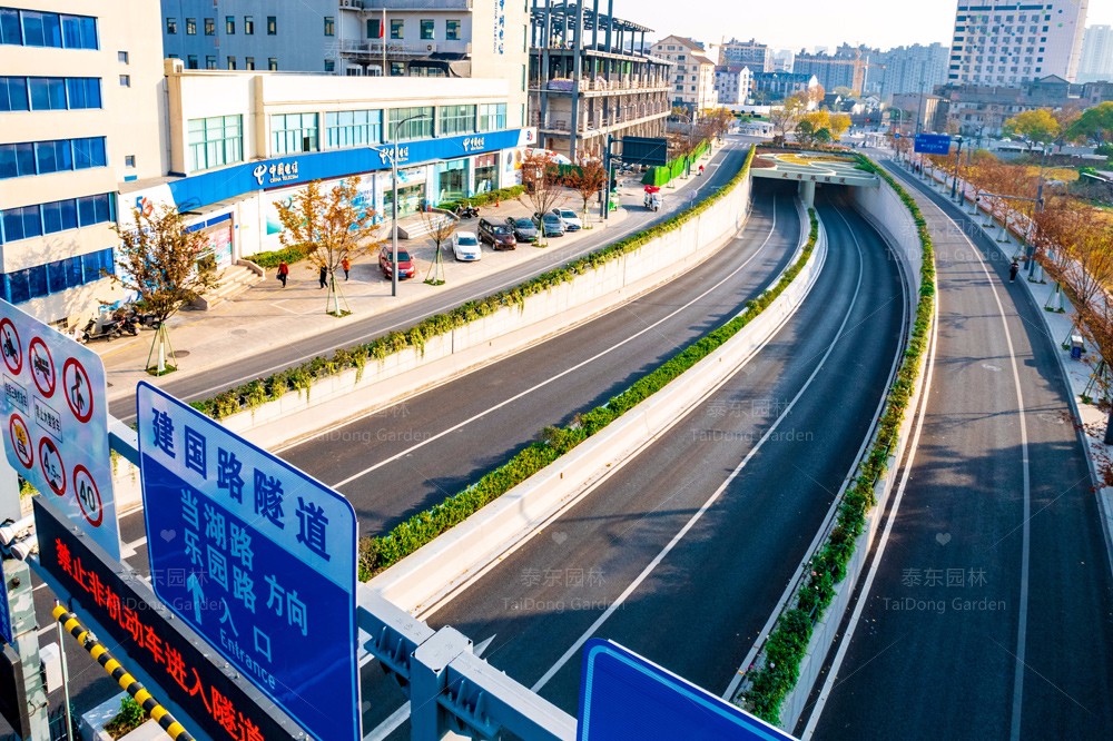 1701313186565471.jpg 花箱