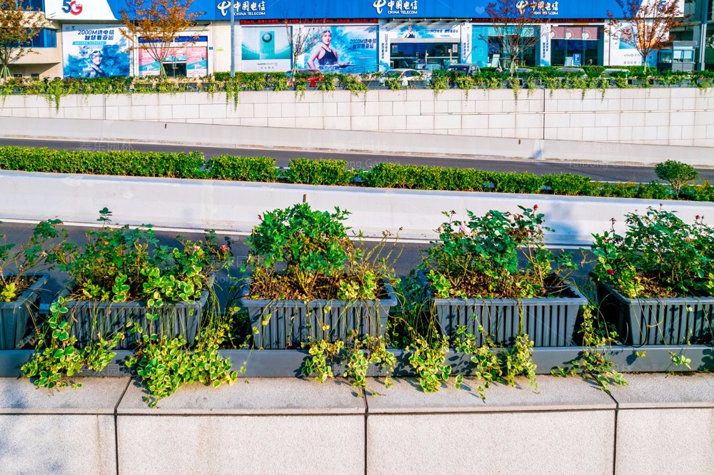 1701391255513457.jpg 花箱