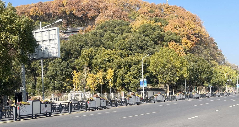 1702003020963057.jpg 花箱