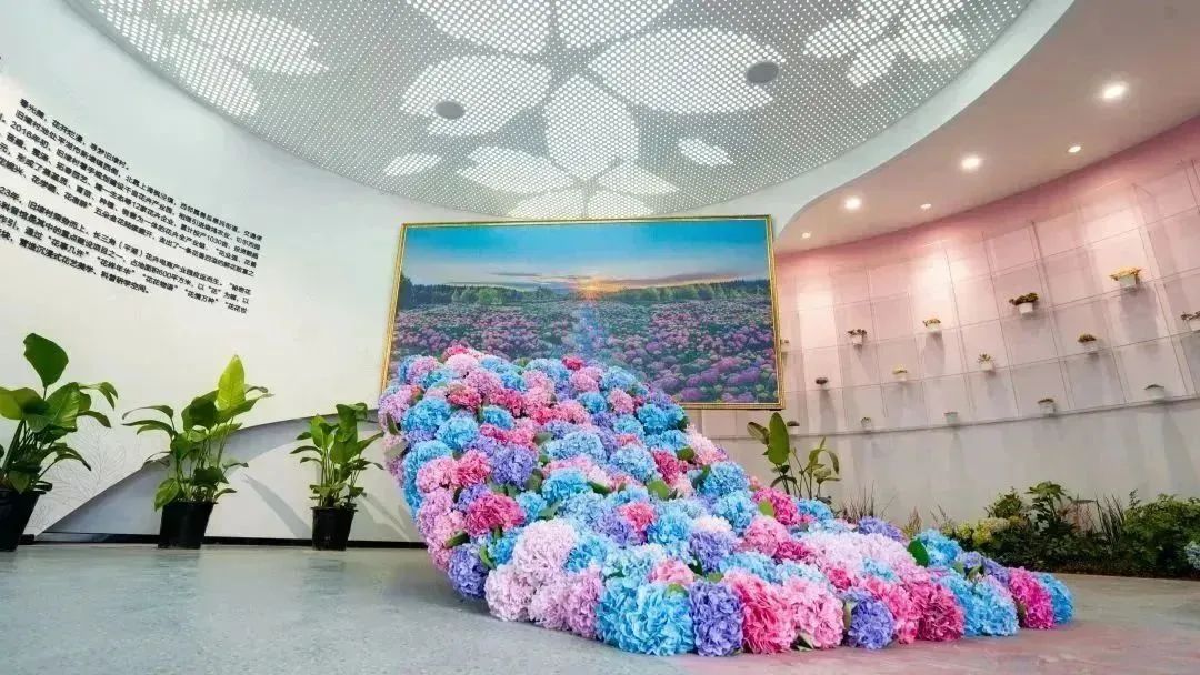 1704158224722251.jpg 花箱