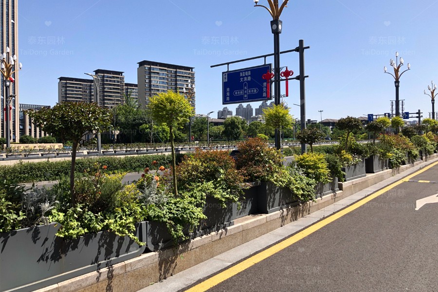 1715836352645306.jpg 花箱